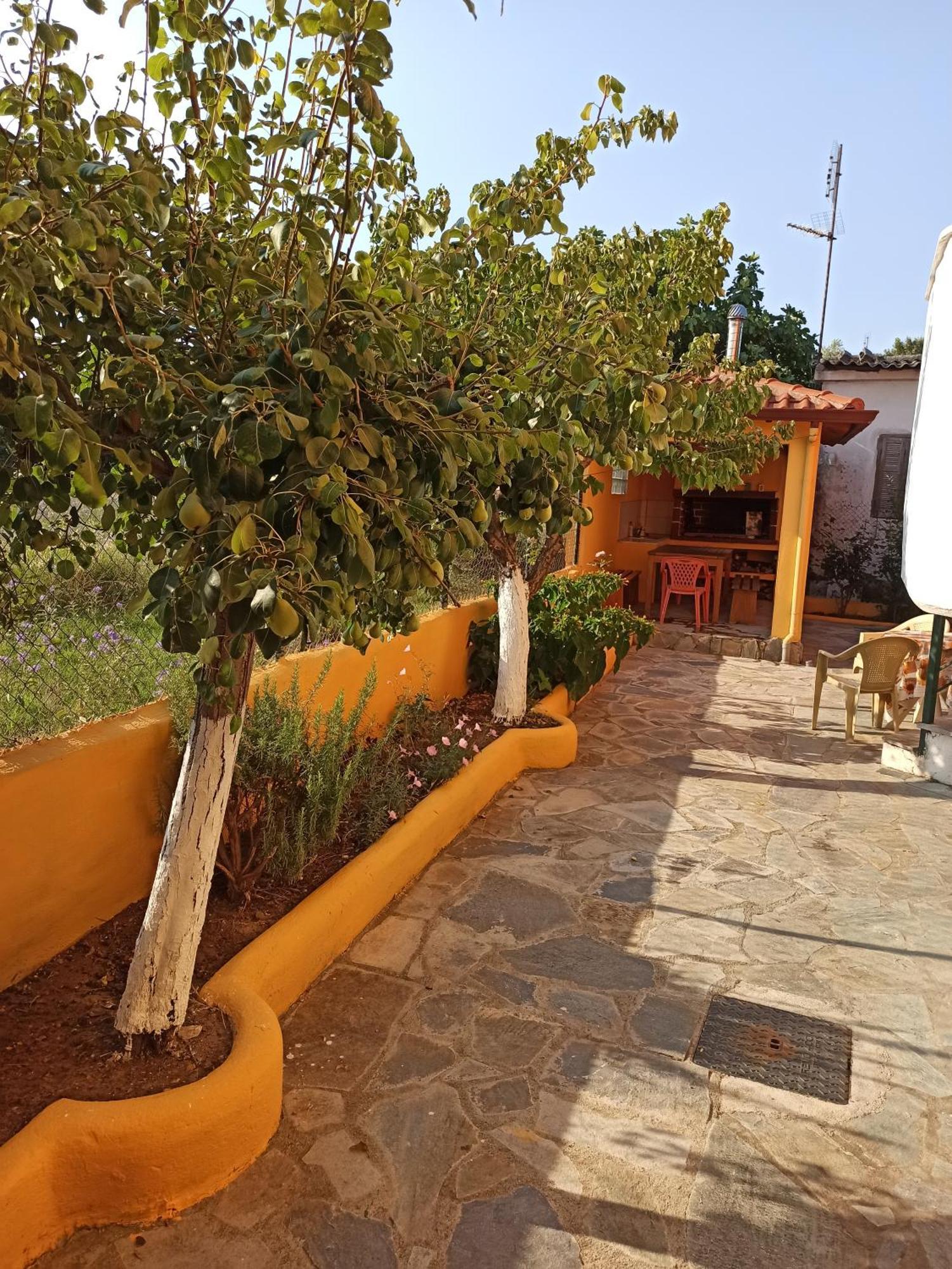 Theodoras House * Nea Michaniona